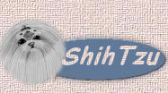 visit our Shih Tzu page